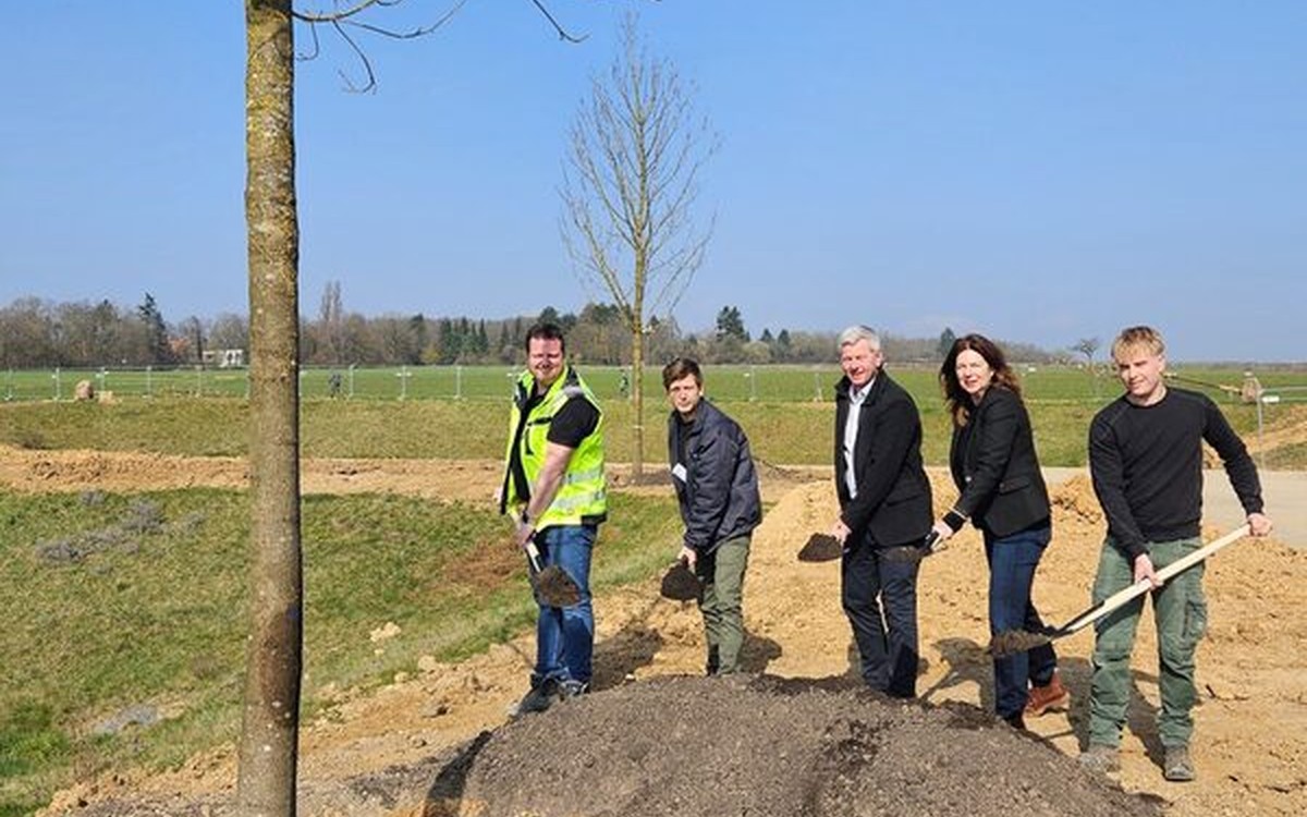Bierstadt Nord: Stadt pflanzt 83 Bäume und legt zentrale Grünanlage an